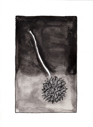 Sweet Gum
Water Soluble Graphite, Marker
8" H x 6" W
2022